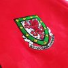 Wales 1996-1998 Retro Home Retro Football Shirt