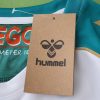 Diego Ribas da Cunha Number #10 Werder Bremen Anniversary Trikot Jersey Maillot Soccer Shirt
